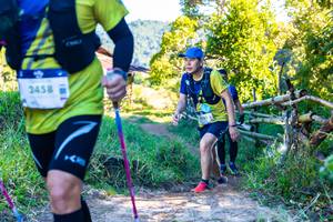 BIB: 2458, 1225
                            <button type="button" onclick="openModal(19092487)" class="btn btn-primary btn-sm float-right btn-popup" data-toggle="modal" data-target=".modal-high-quality">
                        <i class="fas fa-shopping-cart"></i> Add to Cart
                    </button>
                                            <button type="button" onclick="isThisMe(19092487, true)" class="btn btn-success btn-sm float-right btn-popup btn-isme hidden" data-toggle="tooltip" data-placement="bottom" title="นี่คือรูปของคุณใช่ไหม คลิกที่นี่เพื่อเอาเข้าอัลบั้ม">
                        <i class="fas fa-plus"></i> Add to album
                    </button>
                    <button type="button" onclick="isThisMe(19092487, false)" class="btn btn-warning btn-sm float-right btn-popup btn-isnotme hidden">
                        <i class="fas fa-ban"></i> Remove from album
                    </button>